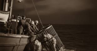 মাস্টারদা সূর্য সেন: লোহার খাঁচায় বন্দি তাঁর মৃতদেহ ব্রিটিশ সৈন্যরা ভারি পাথরের সাথে বেঁধে বঙ্গোপসাগরে ডুবিয়ে দিচ্ছে—সেই পৈশাচিক মুহূর্তের দৃশ্য।