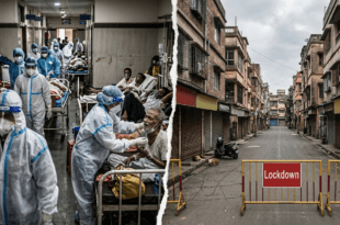 বন ধ্বংসের ফলাফল হিসেবে মহামারীর আশঙ্কা—হাসপাতালে রোগীর ভিড় ও লকডাউনে জনশূন্য শহরের সেই ভয়ংকর দৃশ্য।