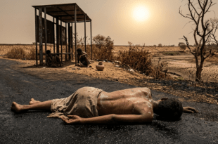 জলবায়ু পরিবর্তনের ফলে তীব্র তাপপ্রবাহে রাস্তায় অচেতন হয়ে পড়া এক ব্যক্তি, পাশে শুকনো জমি ও পানির সংকটে থাকা মানুষ।